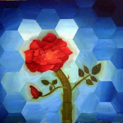 Rose Flower View From a Bee's Eyes