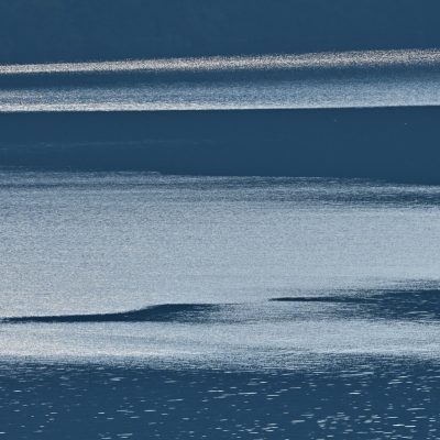 Lake Ashinoko Abstraction 2