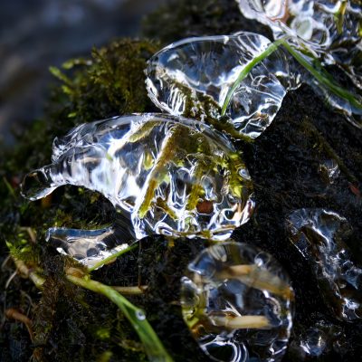 Ice In Situ